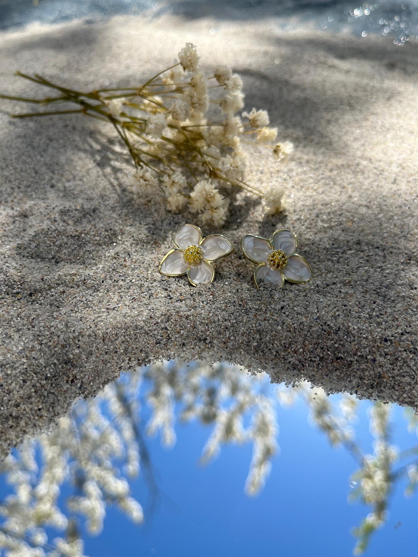 Bloom